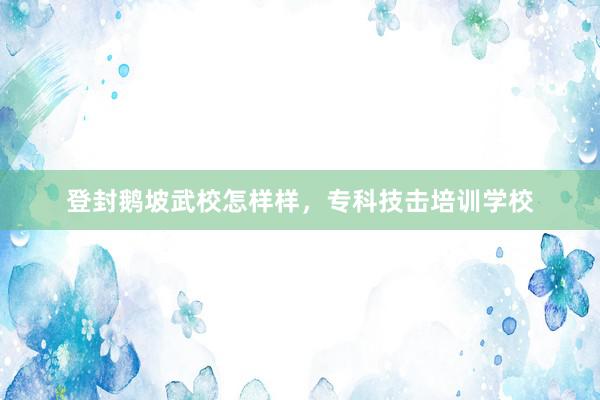 登封鹅坡武校怎样样，专科技击培训学校