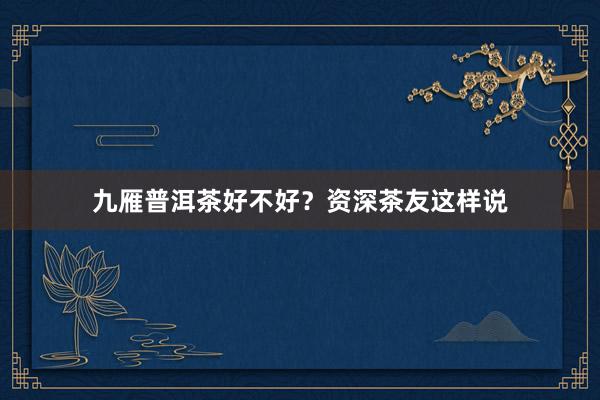 九雁普洱茶好不好？资深茶友这样说